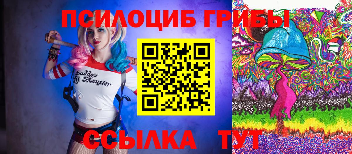 Галлюциногенные грибы Psilocybe Вологда